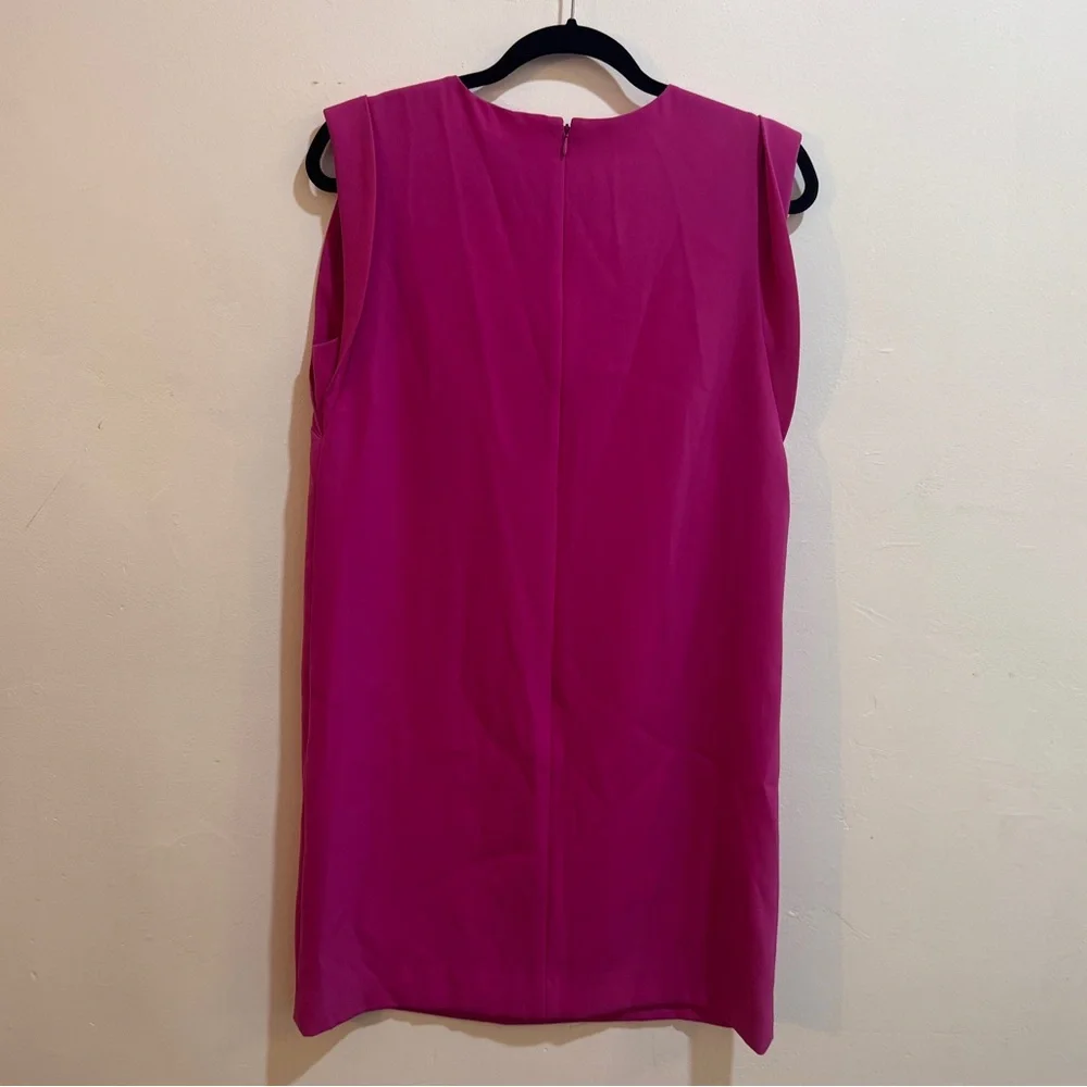 Ann Taylor Hot Pink Shift Dress